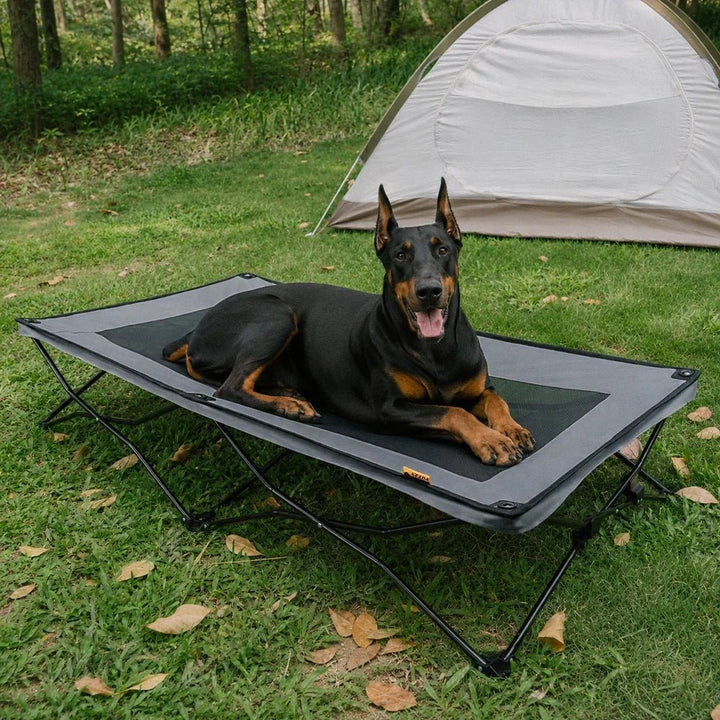 Pawtique AirLift™ Folding Elevated Dog Cot - Pawtique