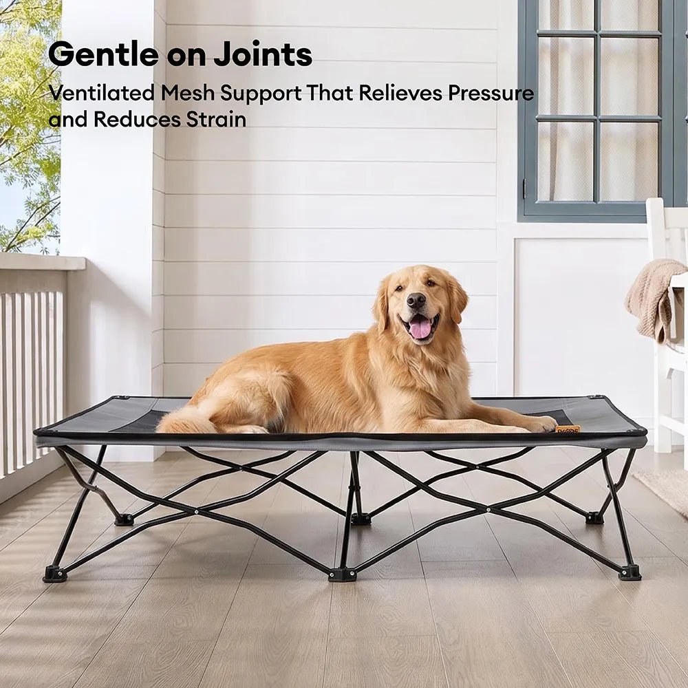 Pawtique AirLift™ Folding Elevated Dog Cot - Pawtique