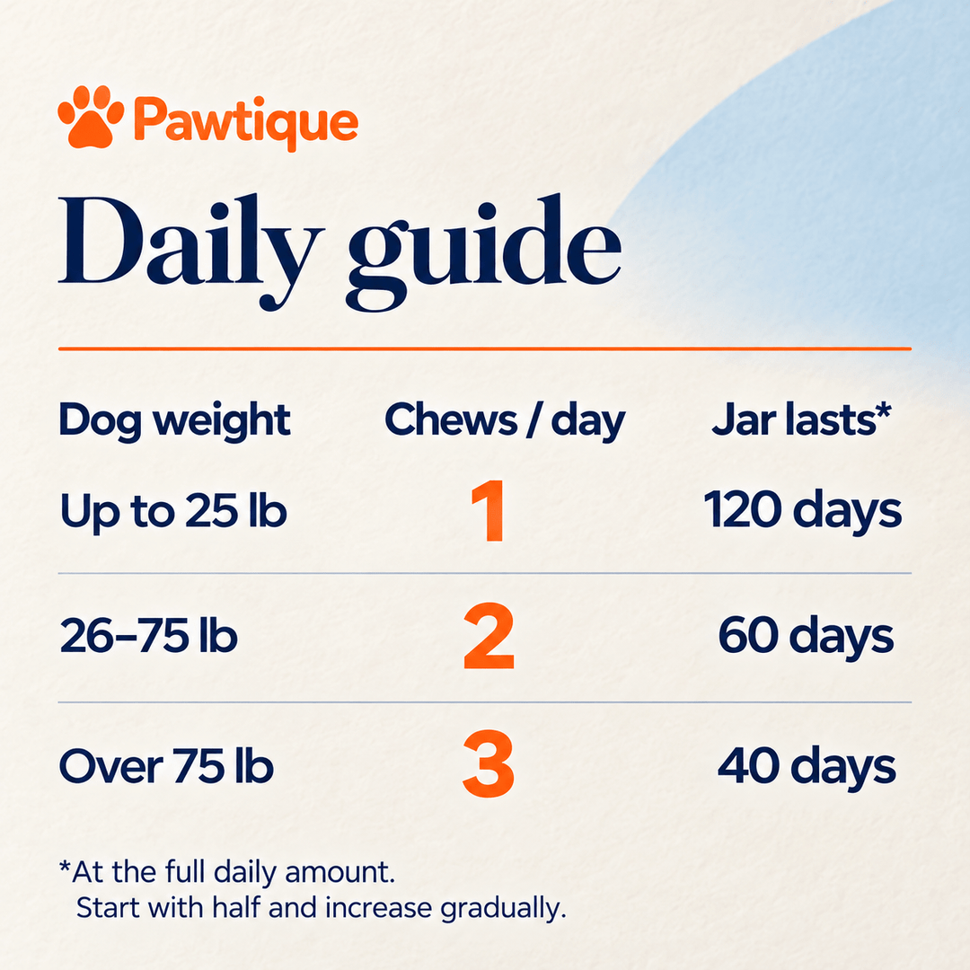 Pawtique Allergy &amp; Immune Soft Chews for Dogs — Chicken, 120 Count - Pawtique