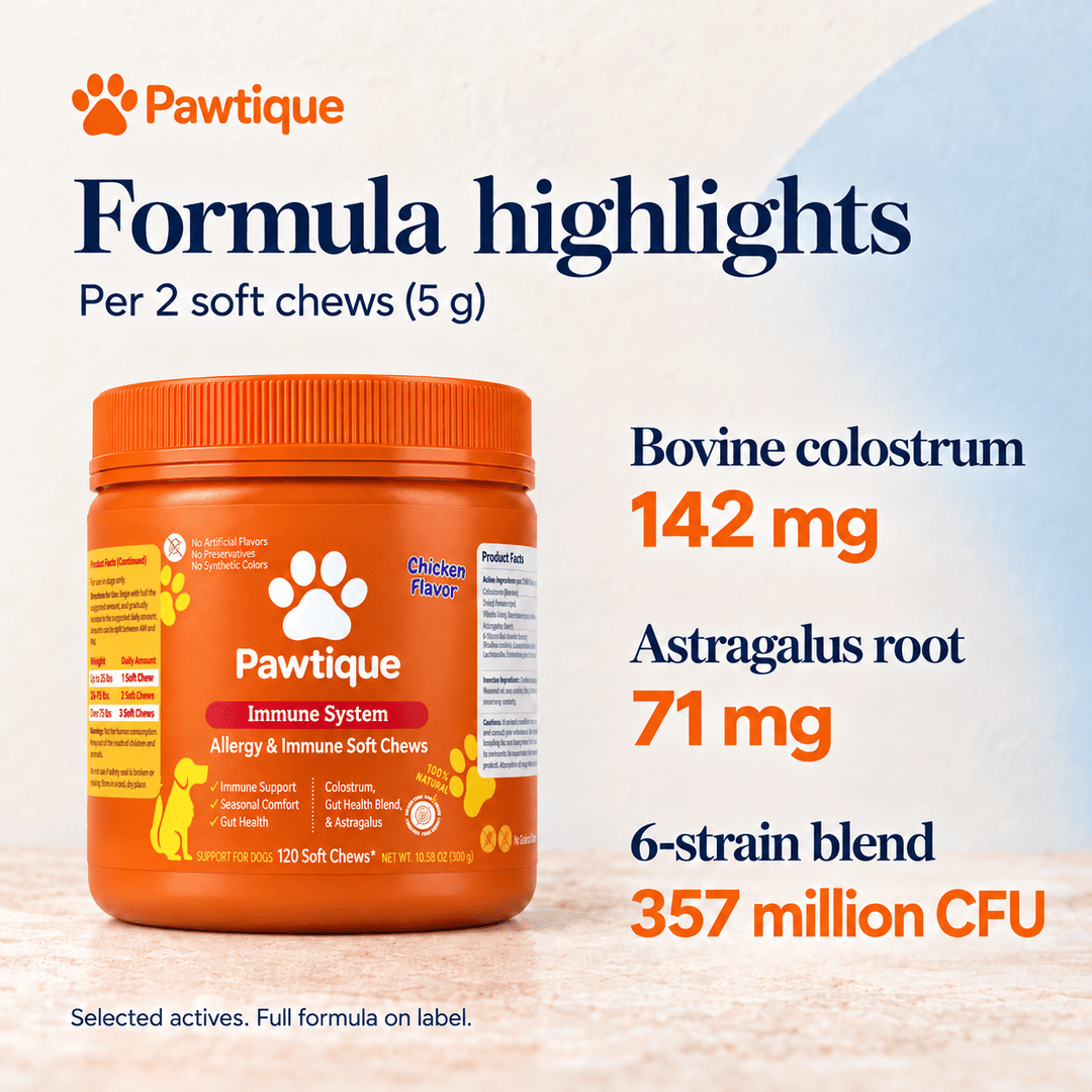 Pawtique Allergy &amp; Immune Soft Chews for Dogs — Chicken, 120 Count - Pawtique
