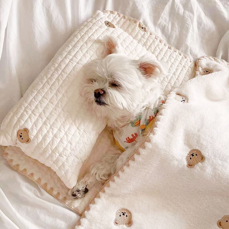 Pawtique BearHug™ 3-Piece Pet Sleep Set - Pawtique