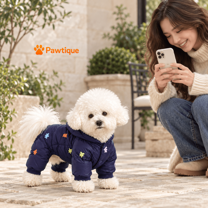 Pawtique Beartrail outdoor photo moment