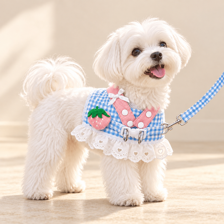 White dog wearing Blue BerryLace gingham harness with pink straps, strawberry applique and eyelet lace on a warm cream background