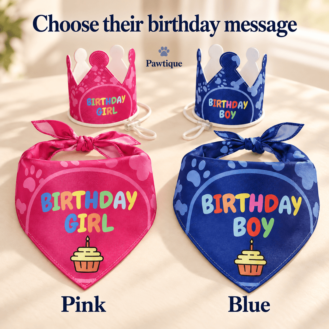 Pawtique Birthday Banner, Crown &amp; Bandana Set - Pawtique
