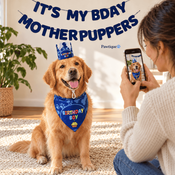 Pawtique Birthday Banner, Crown &amp; Bandana Set - Pawtique