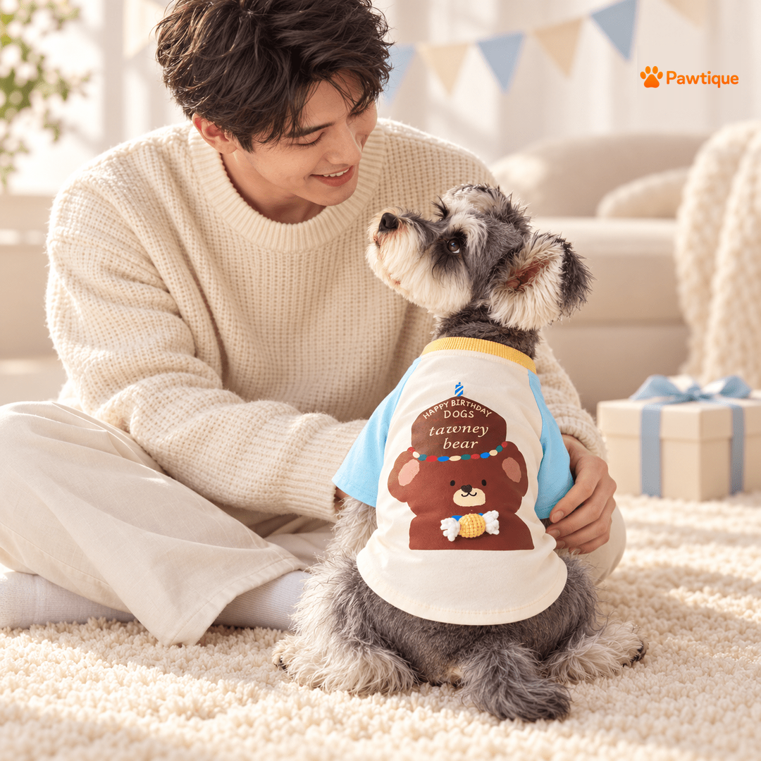 Birthday Bear T-shirt worn during an affectionate moment with the owner