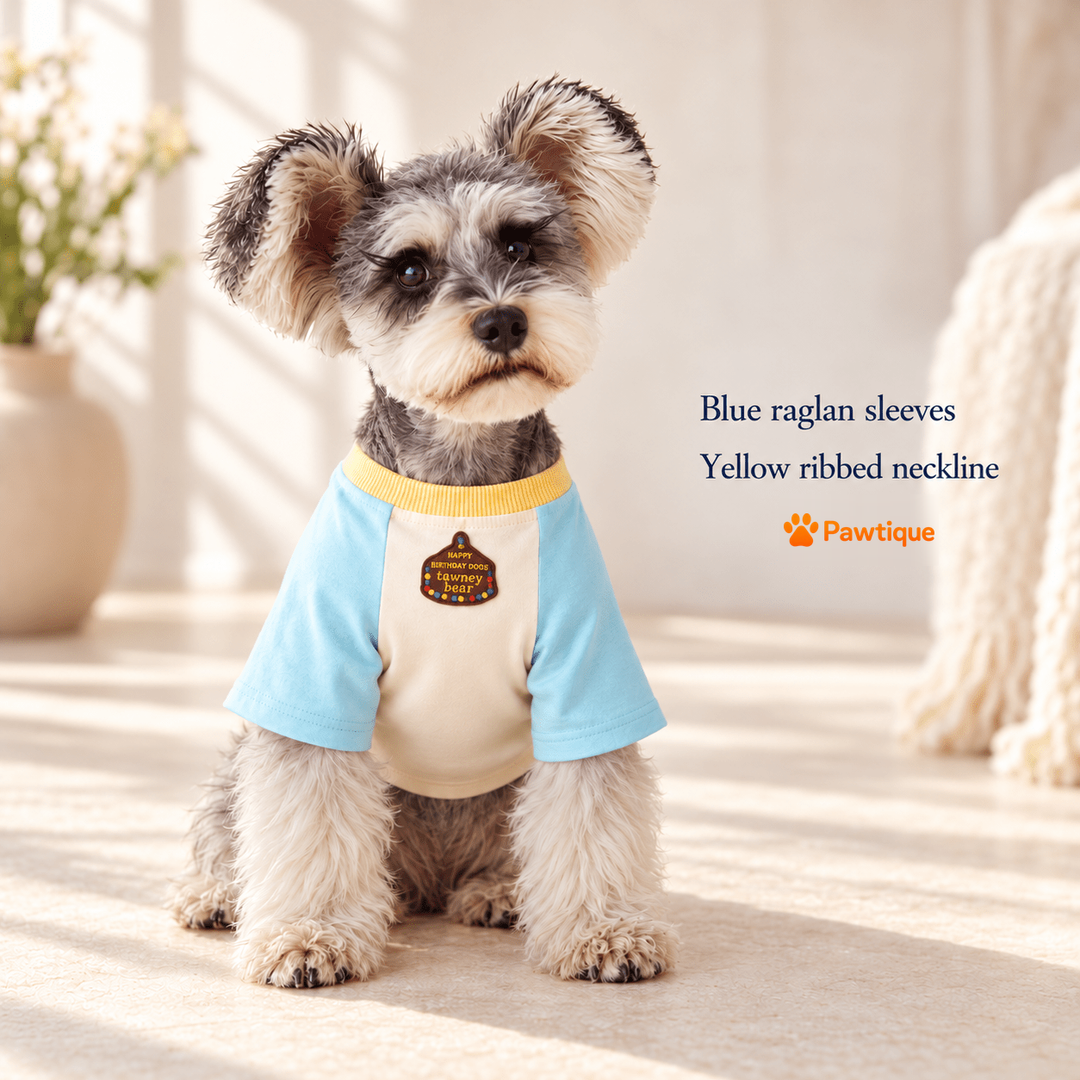 Blue raglan sleeves and yellow ribbed neckline on the Birthday Bear dog T-shirt