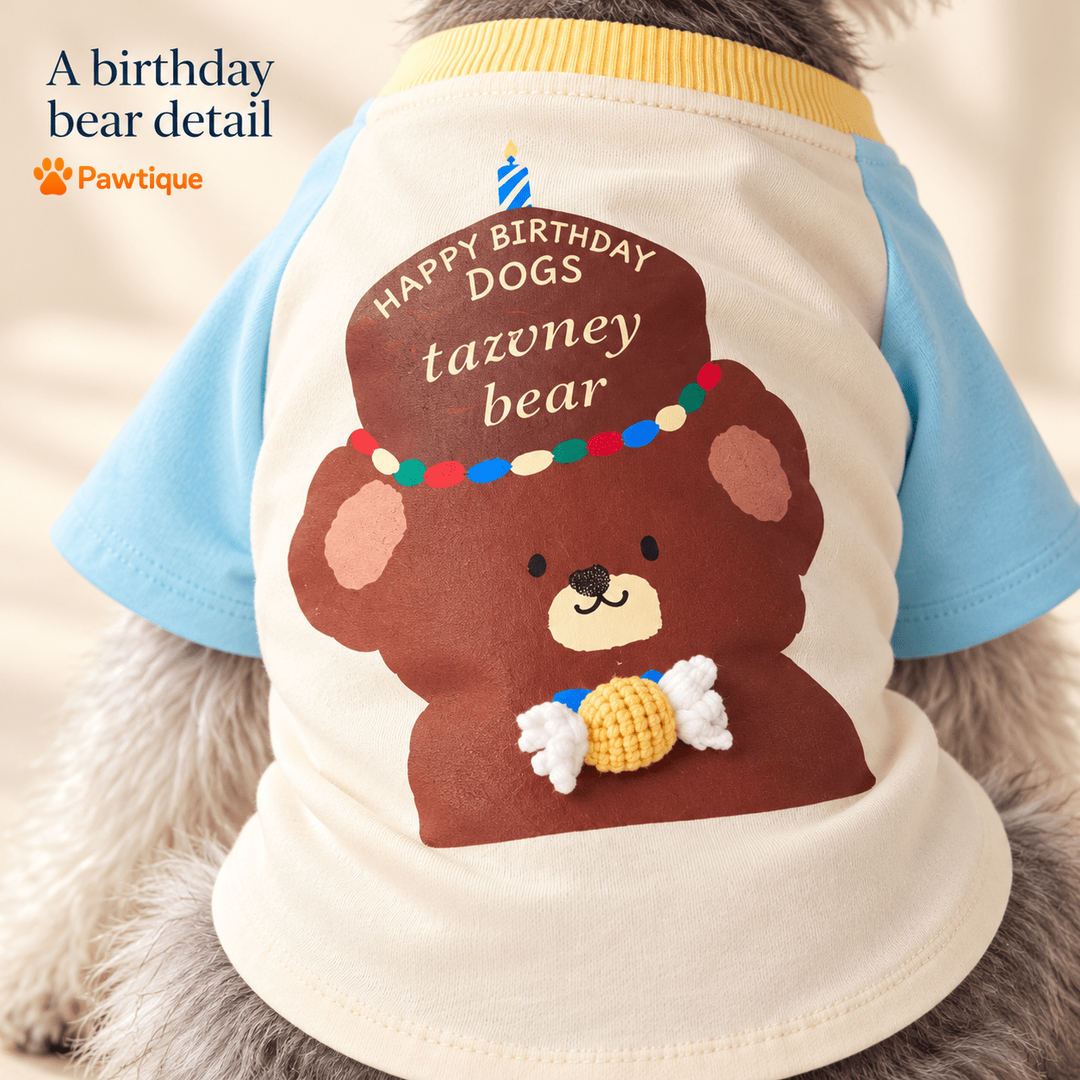 Original birthday bear graphic and sewn candy-shaped detail on the T-shirt