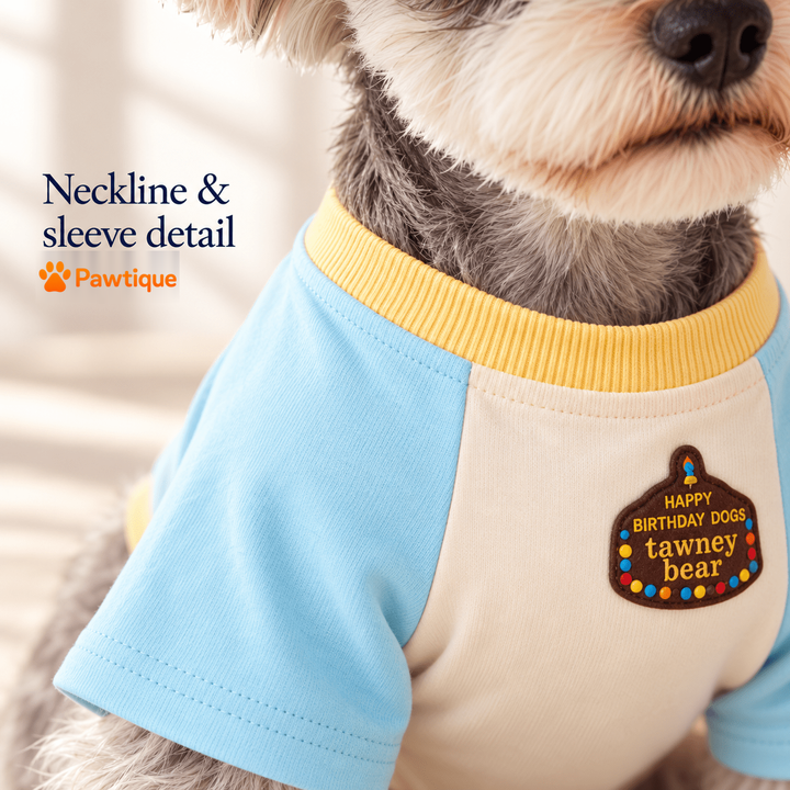 Birthday Bear T-shirt yellow neckline, blue sleeve and original chest graphic detail