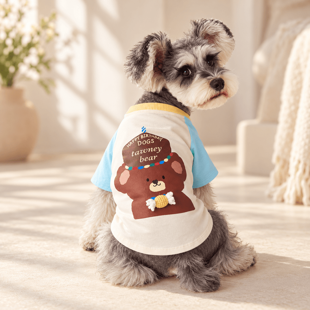 Pawtique Birthday Bear Dog T-Shirt - Pawtique