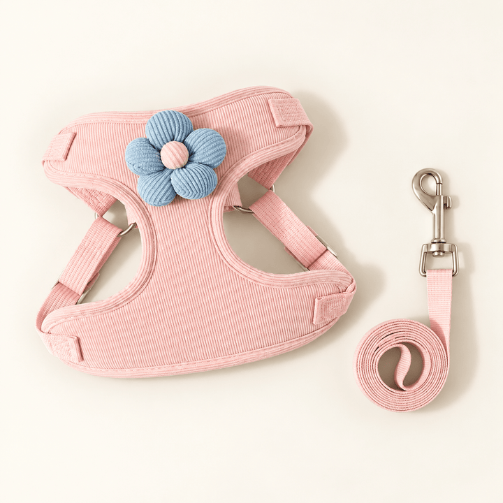Pawtique BloomCord™ Corduroy Dog Harness &amp; Leash Set - Pawtique