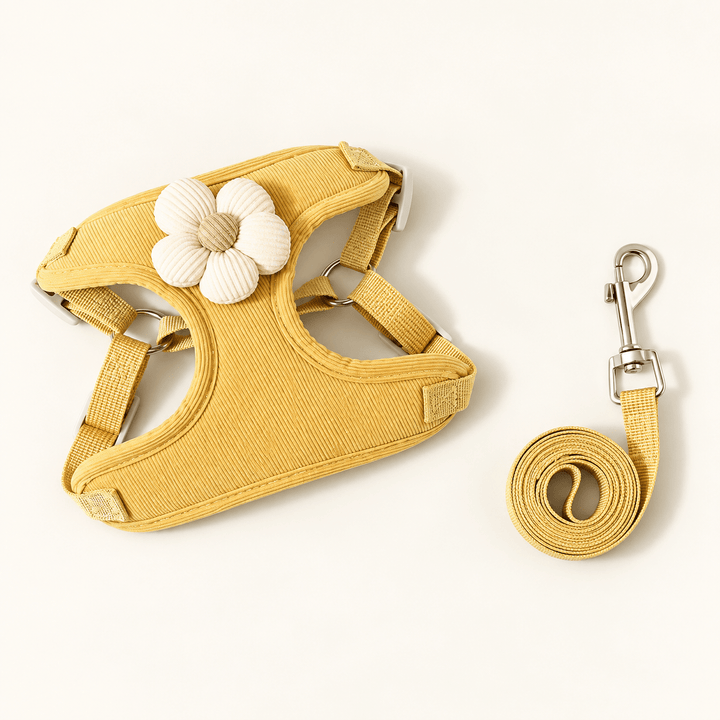 Pawtique BloomCord™ Corduroy Dog Harness &amp; Leash Set - Pawtique