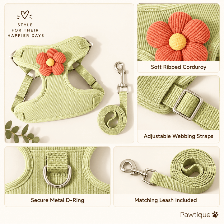 Pawtique BloomCord™ Corduroy Dog Harness &amp; Leash Set - Pawtique