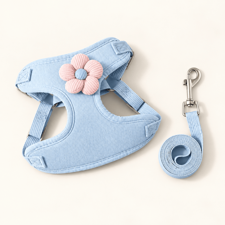 Pawtique BloomCord™ Corduroy Dog Harness &amp; Leash Set - Pawtique