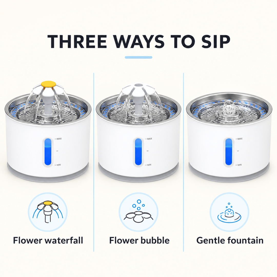 Pawtique BloomFlow™ 2.4L Stainless Steel Pet Fountain - Pawtique