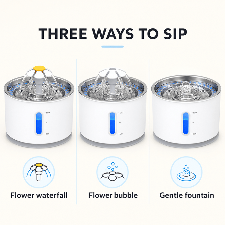 Pawtique BloomFlow™ 2.4L Stainless Steel Pet Fountain - Pawtique