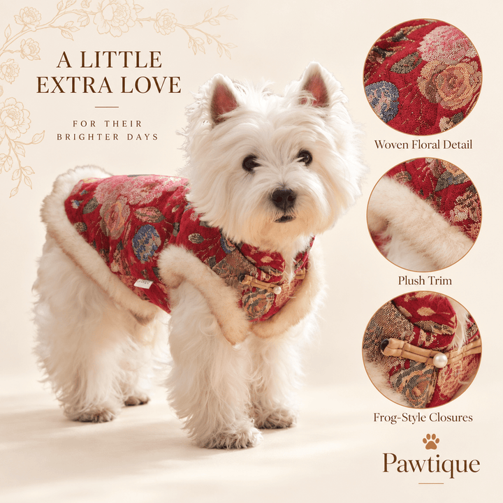 Pawtique BlossomBrocade™ Floral Dog Vest - Pawtique
