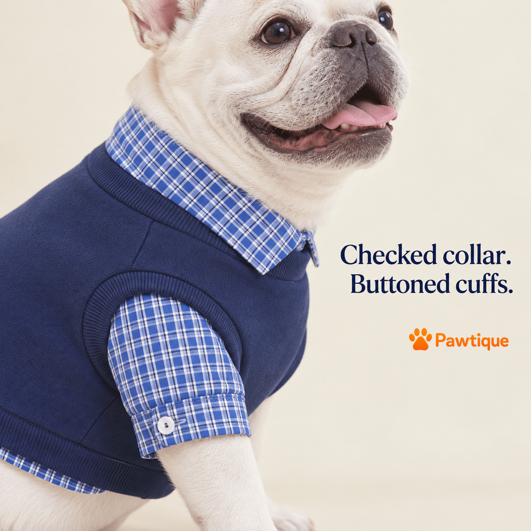 Checked collar and buttoned cuff details