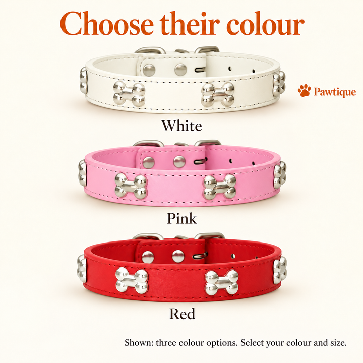 White, Pink and Red Bone Detail collars shown as individual colour options