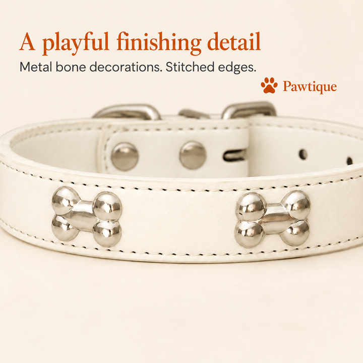 Close-up of silver-tone bone decorations and stitched edges on the White collar