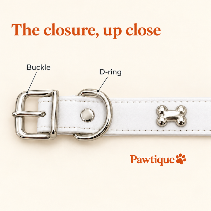 Close-up of the buckle, D-ring and riveted strap on the White Bone Detail collar