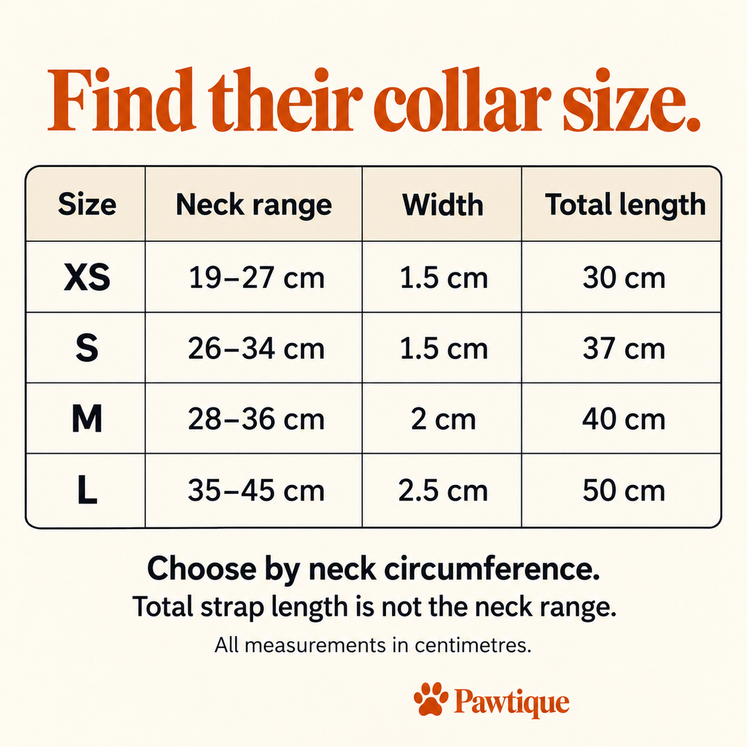 Bone Detail collar size guide: XS neck 19–27 cm; S 26–34 cm; M 28–36 cm; L 35–45 cm, with widths and total lengths