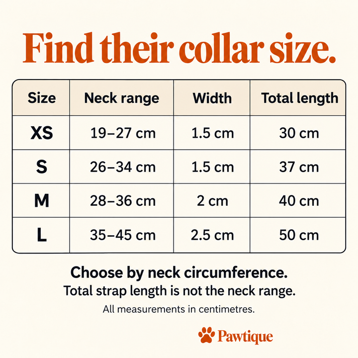 Bone Detail collar size guide: XS neck 19–27 cm; S 26–34 cm; M 28–36 cm; L 35–45 cm, with widths and total lengths