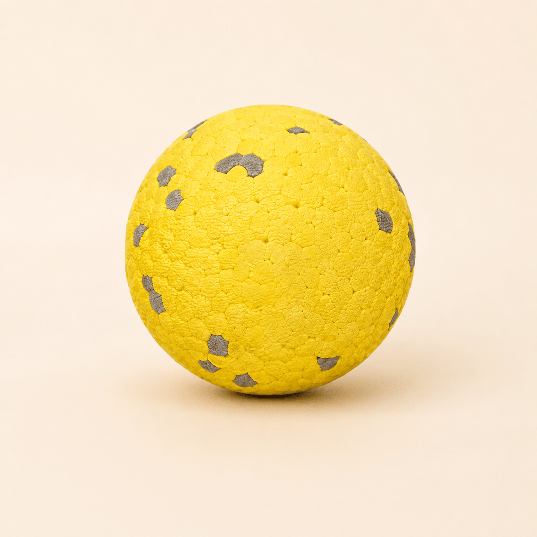 Pawtique BounceBright™ Textured Fetch Toy - Pawtique