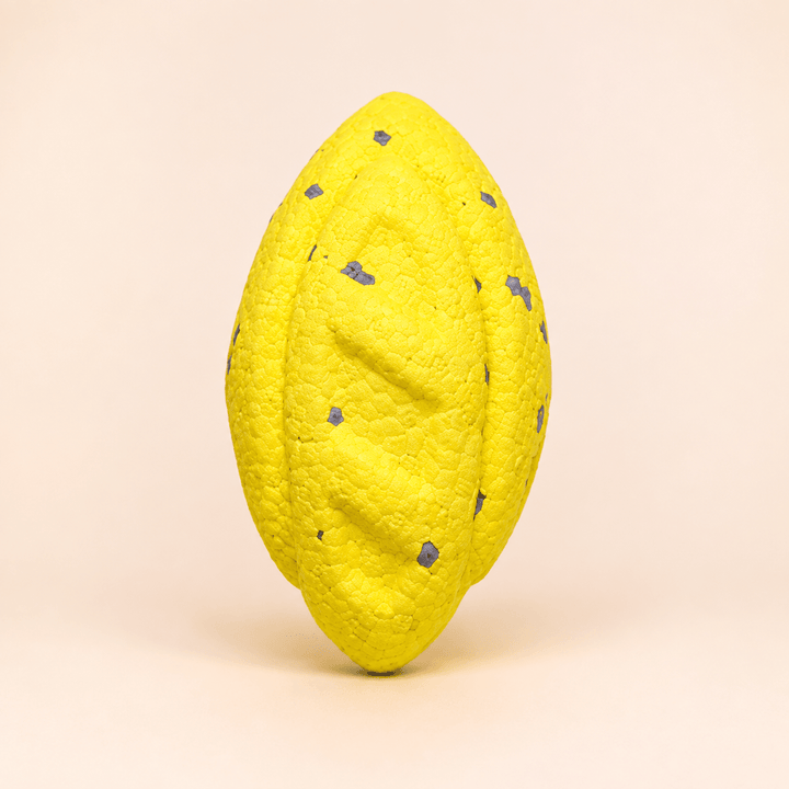 Pawtique BounceBright™ Textured Fetch Toy - Pawtique