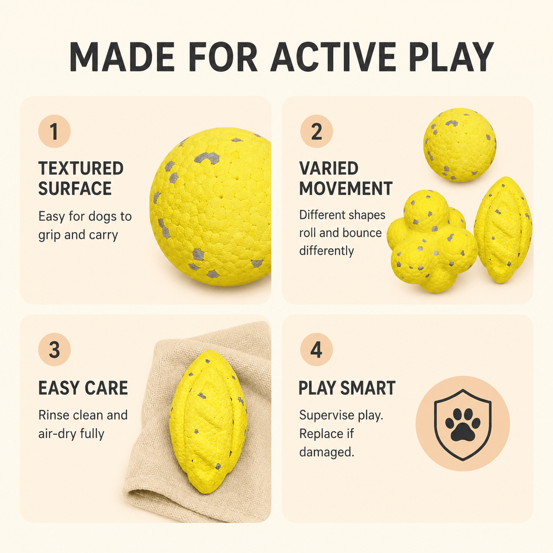 Pawtique BounceBright™ Textured Fetch Toy - Pawtique
