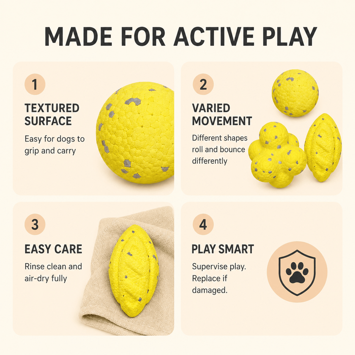 Pawtique BounceBright™ Textured Fetch Toy - Pawtique