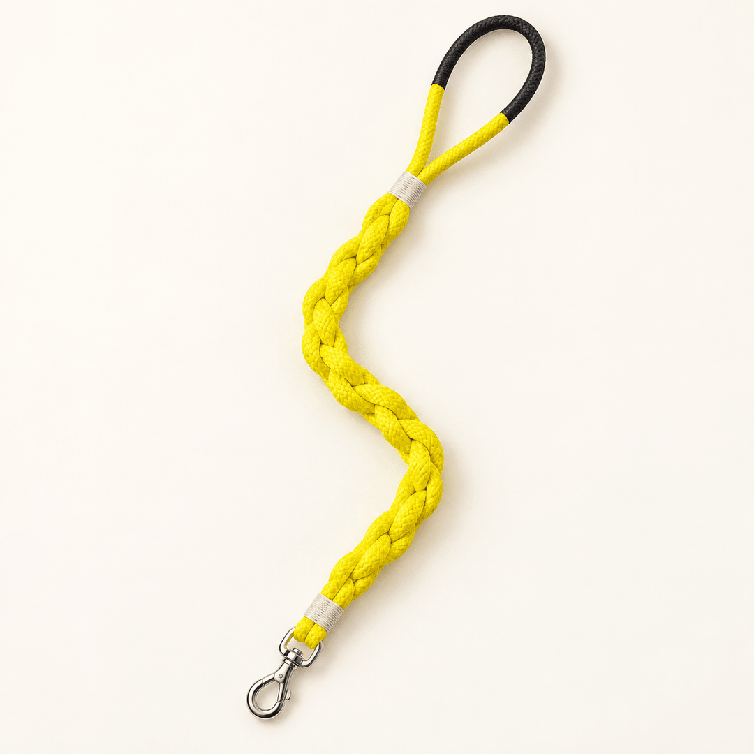 Pawtique BraidWalk™ Short Handmade Rope Dog Leash - Pawtique