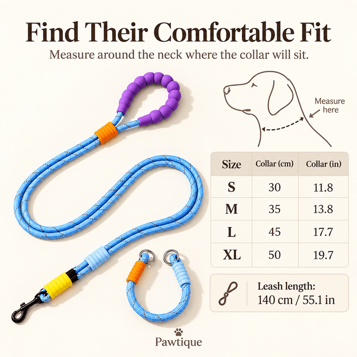 Pawtique BubbleLoop™ Reflective Dog Leash &amp; Slip Collar Set - Pawtique