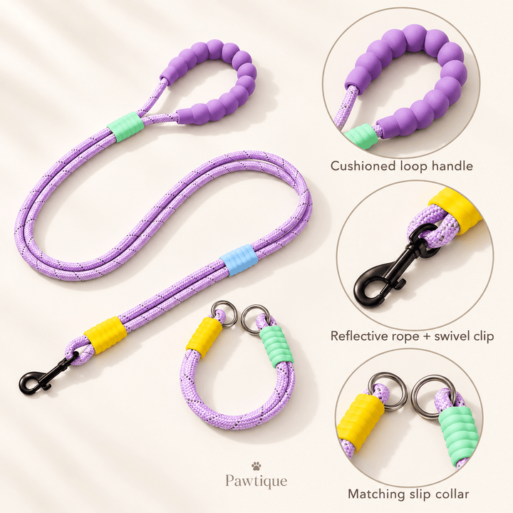Pawtique BubbleLoop™ Reflective Dog Leash &amp; Slip Collar Set - Pawtique