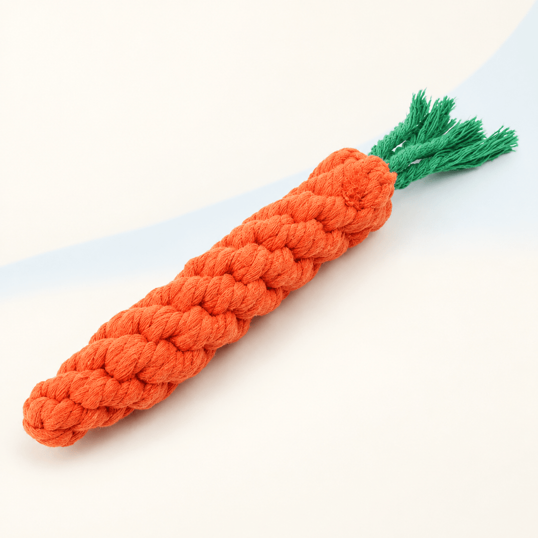 Pawtique Carrot Rope &amp; Plush Character Dog Toys - Pawtique