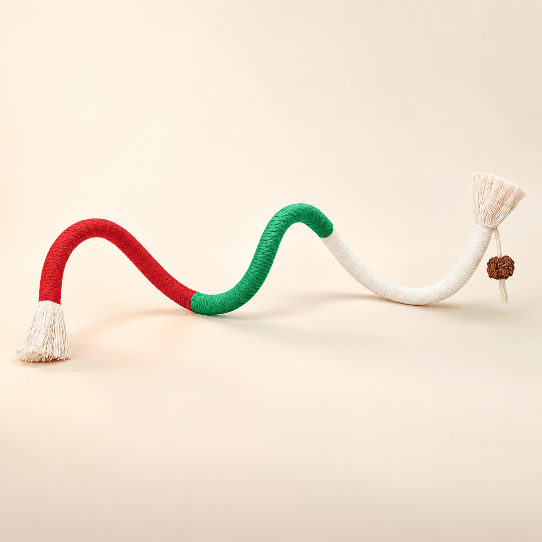 Pawtique Catnip Cotton Rope Toy - Pawtique