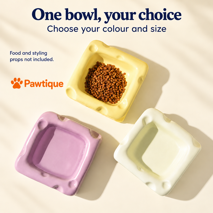 Choose one bowl in your selected colour and size; food and styling props not included