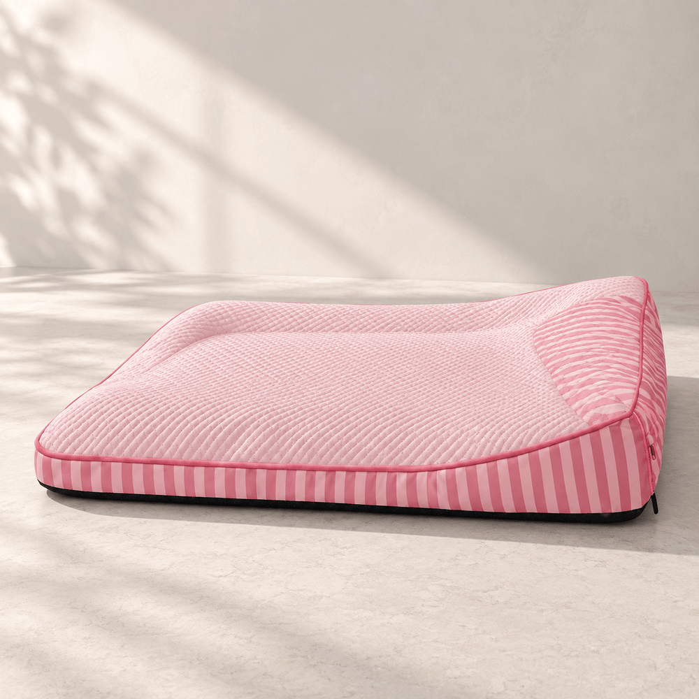 Pawtique ChillRest™ Cooling Bolster Dog Bed - Pawtique