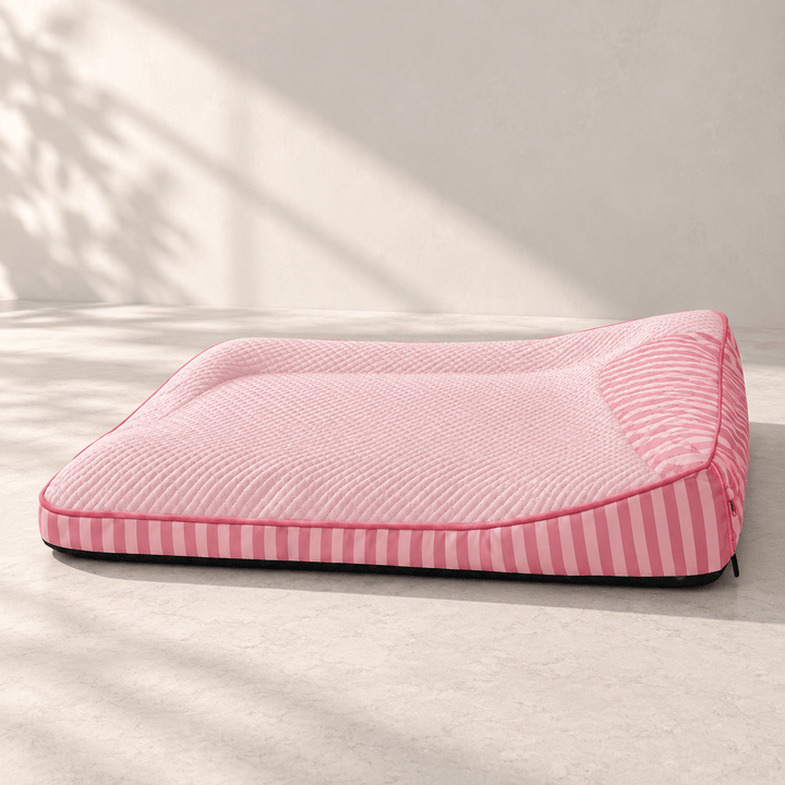 Pawtique ChillRest™ Cooling Bolster Dog Bed - Pawtique