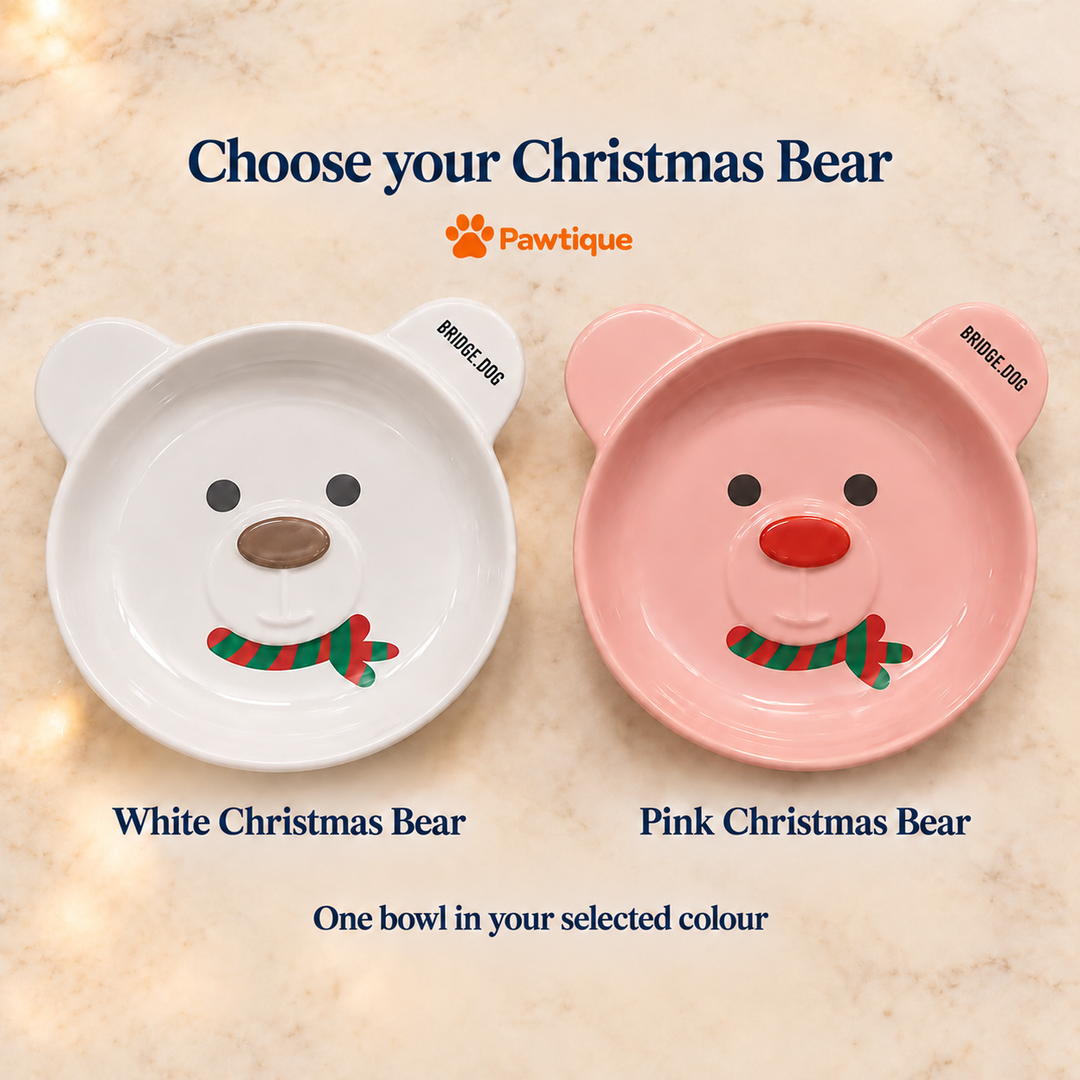 White Christmas Bear and Pink Christmas Bear colour choices; each purchase includes one bowl in the selected colour.