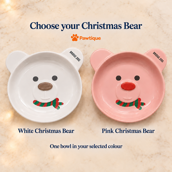 White Christmas Bear and Pink Christmas Bear colour choices; each purchase includes one bowl in the selected colour.
