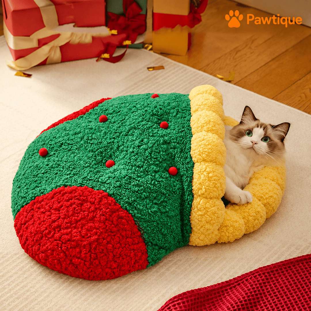 Cat looking out of the green-and-red stocking nest with yellow entrance trim.