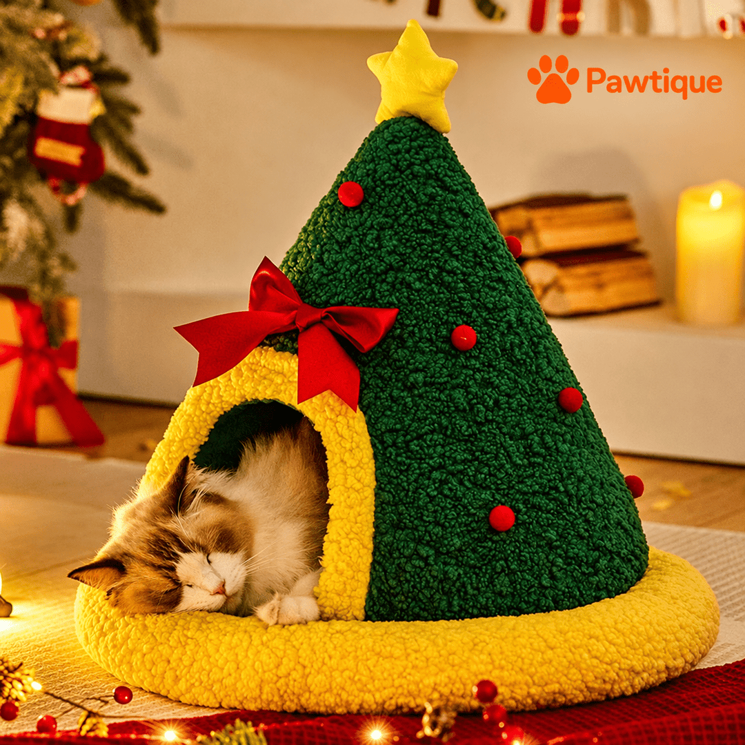 Cat resting at the yellow-trimmed entrance of the covered Christmas tree nest.