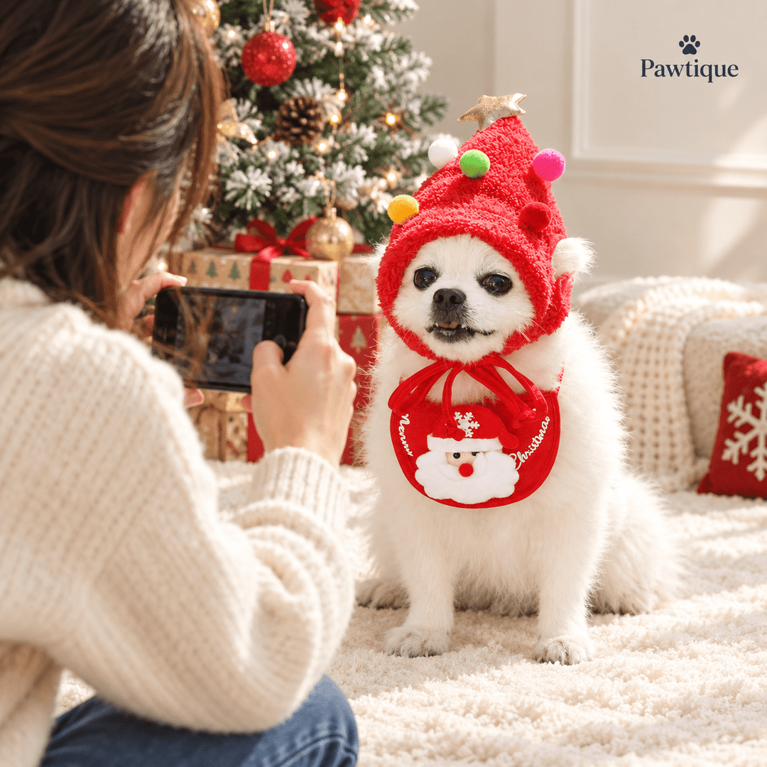 Pawtique Christmas Tree Hat &amp; Bib Set - Pawtique