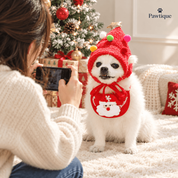 Pawtique Christmas Tree Hat &amp; Bib Set - Pawtique