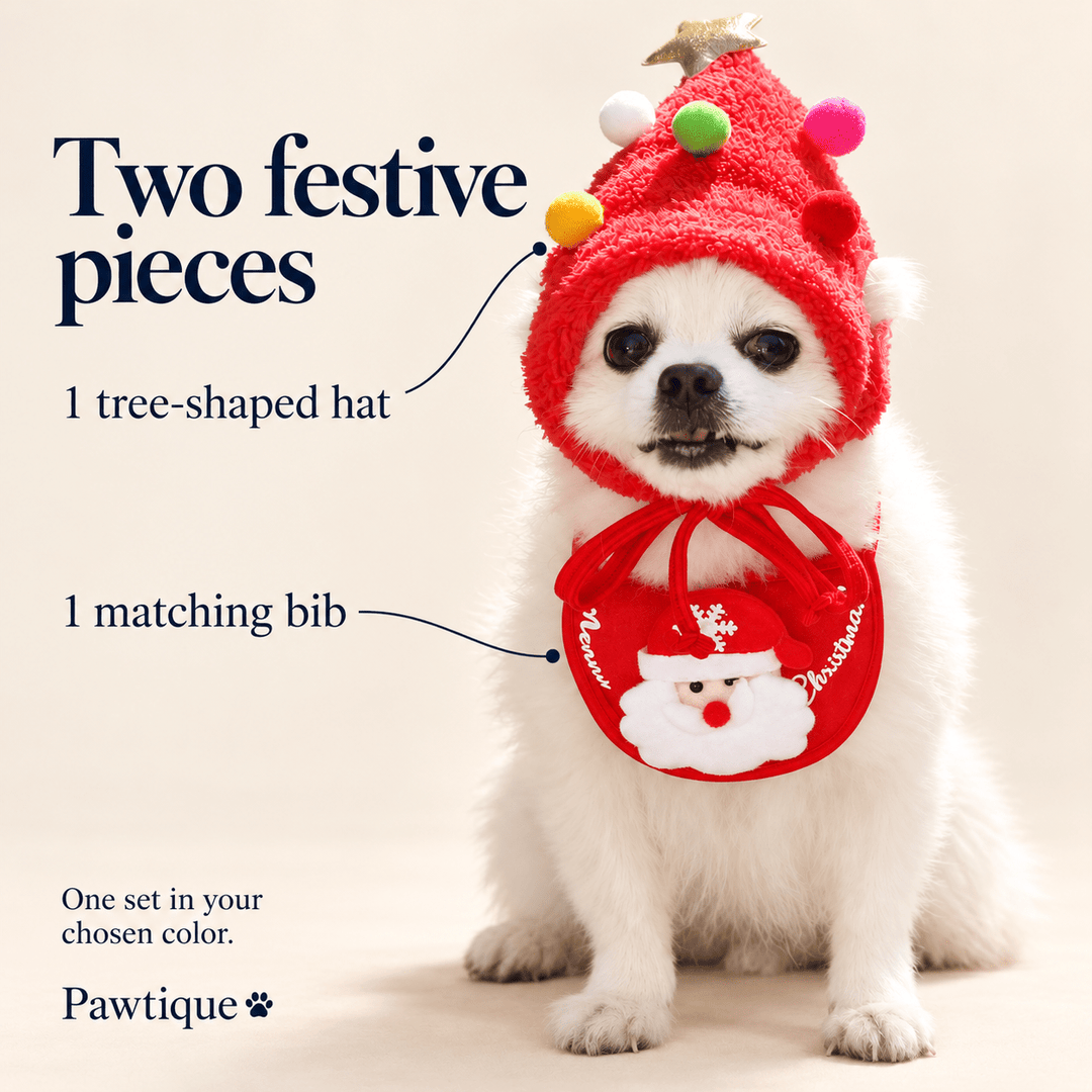 Pawtique Christmas Tree Hat &amp; Bib Set - Pawtique
