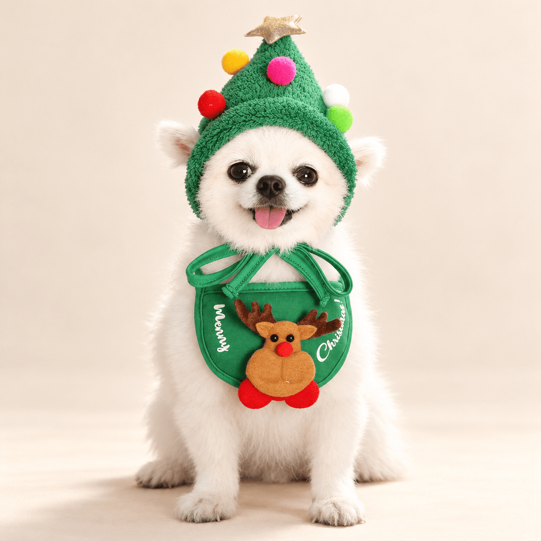Pawtique Christmas Tree Hat &amp; Bib Set - Pawtique