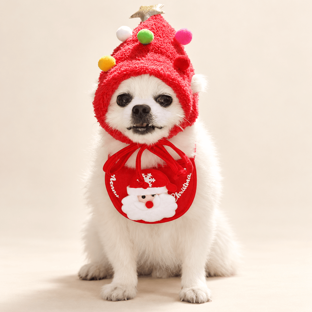 Pawtique Christmas Tree Hat & Bib Set - Pawtique