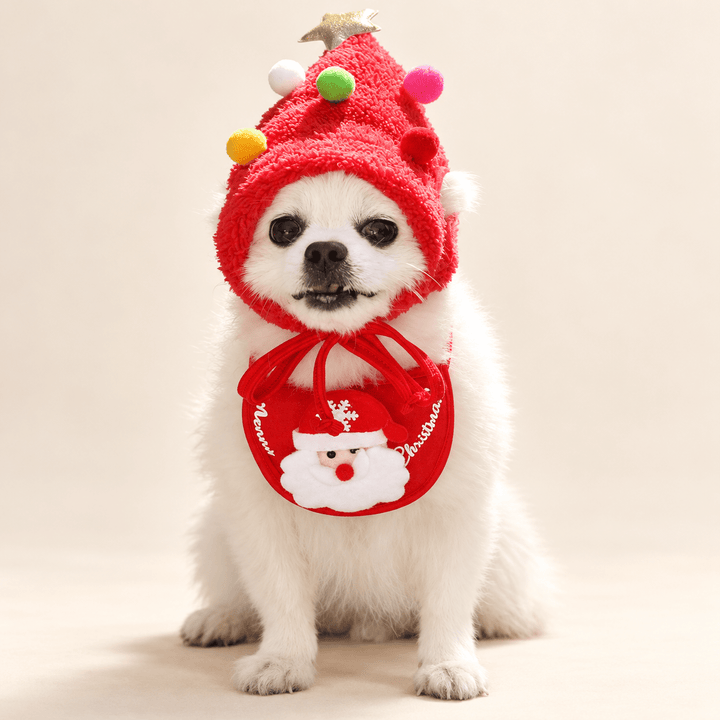 Pawtique Christmas Tree Hat &amp; Bib Set - Pawtique