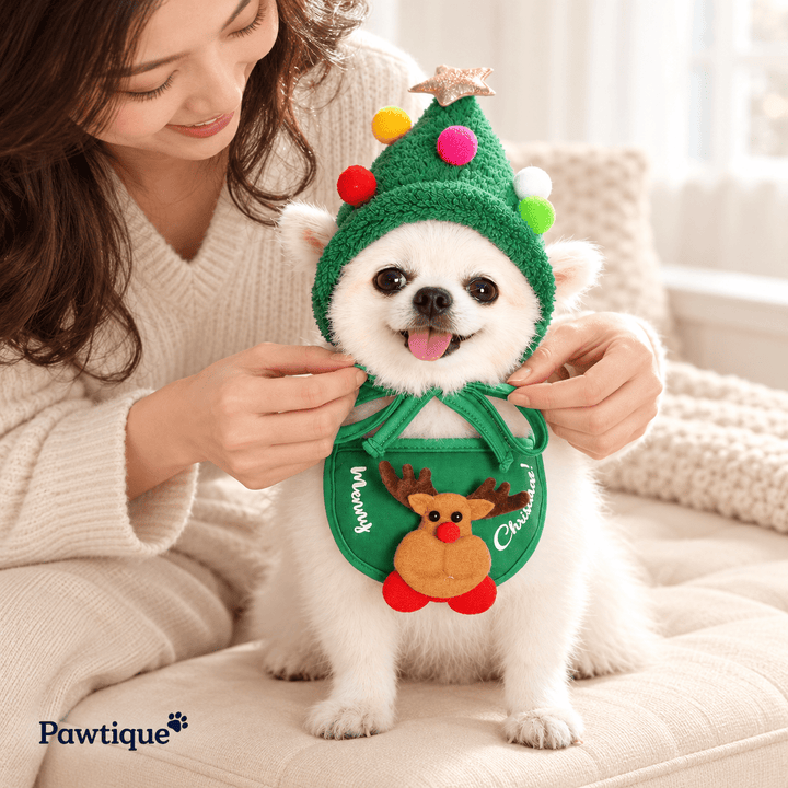 Pawtique Christmas Tree Hat &amp; Bib Set - Pawtique